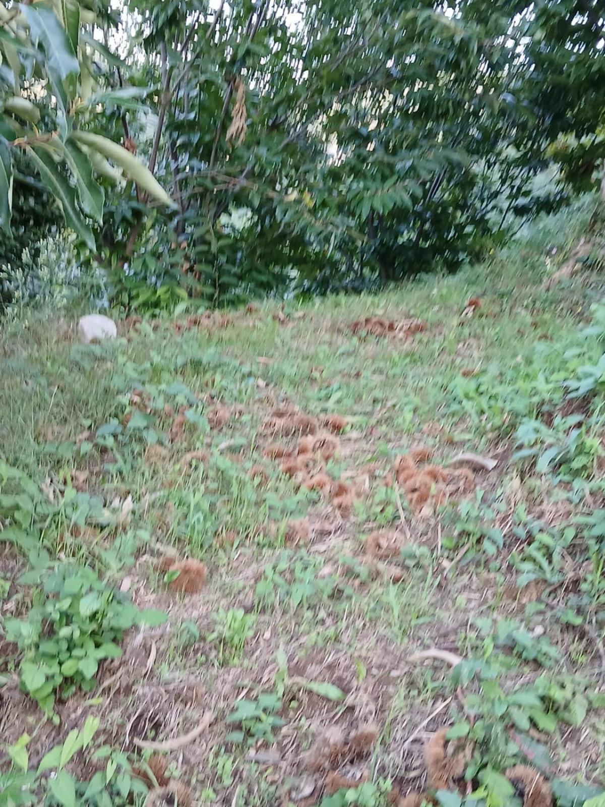 Terra Vitale Cava deʼ Tirreni Exterior foto